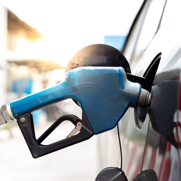 Dlaczego olej napędowy z algami może zrewolucjonizować przyszłość motoryzacji?